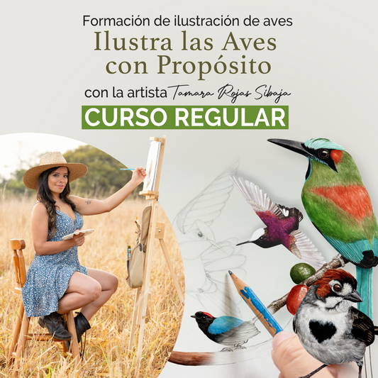 🌿 Aprende a Ilustrar Aves Realistas con Técnica Profesional Aunque Nunca Hayas Dibujado Antes 🎨