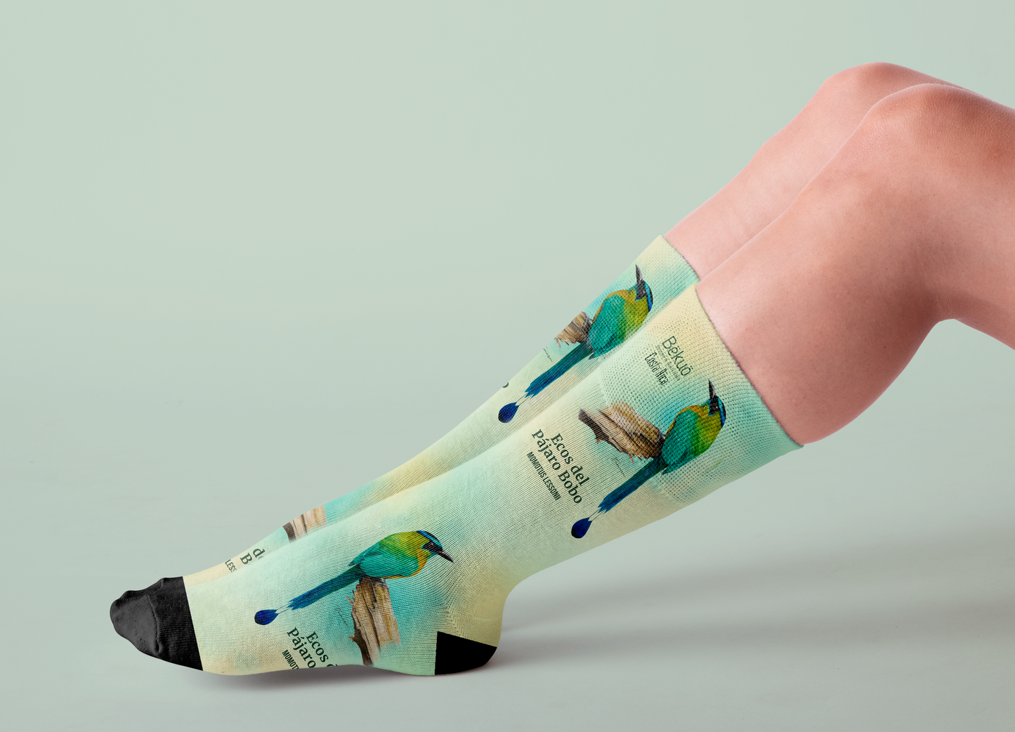 Medias - Ecos del Pájaro Bobo