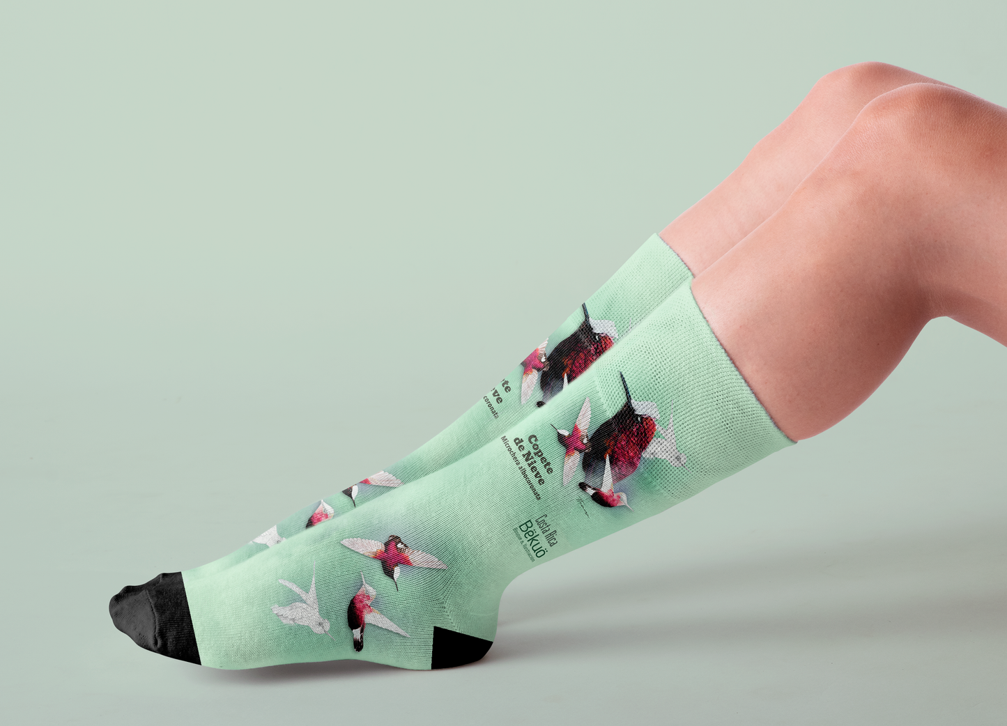 Medias - Colibrí Copete de Nieve (Clara)