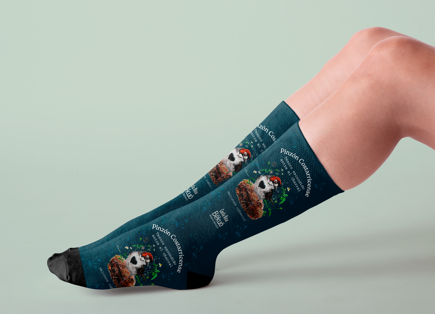 Medias - Pinzón Costarricense