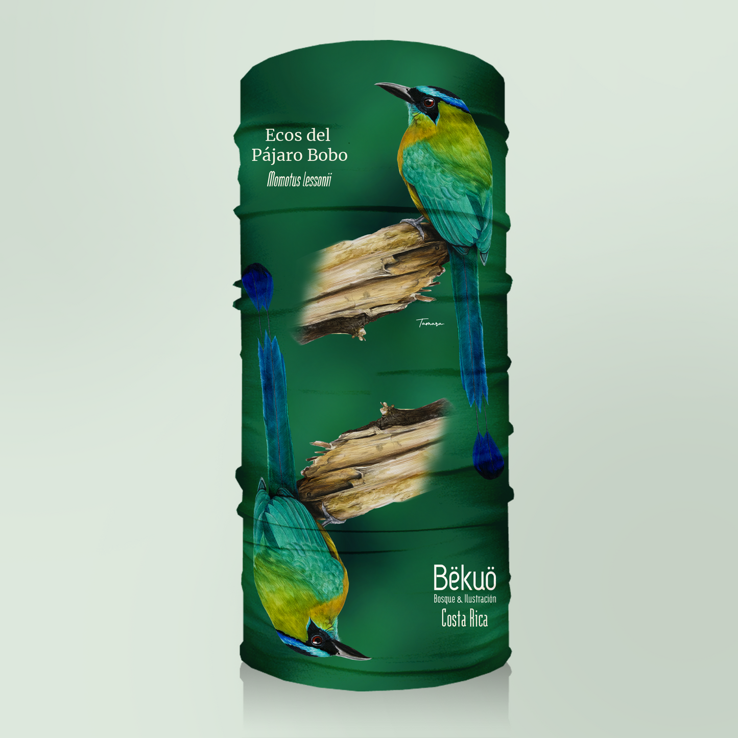 Bandana - Ecos del Pájaro Bobo