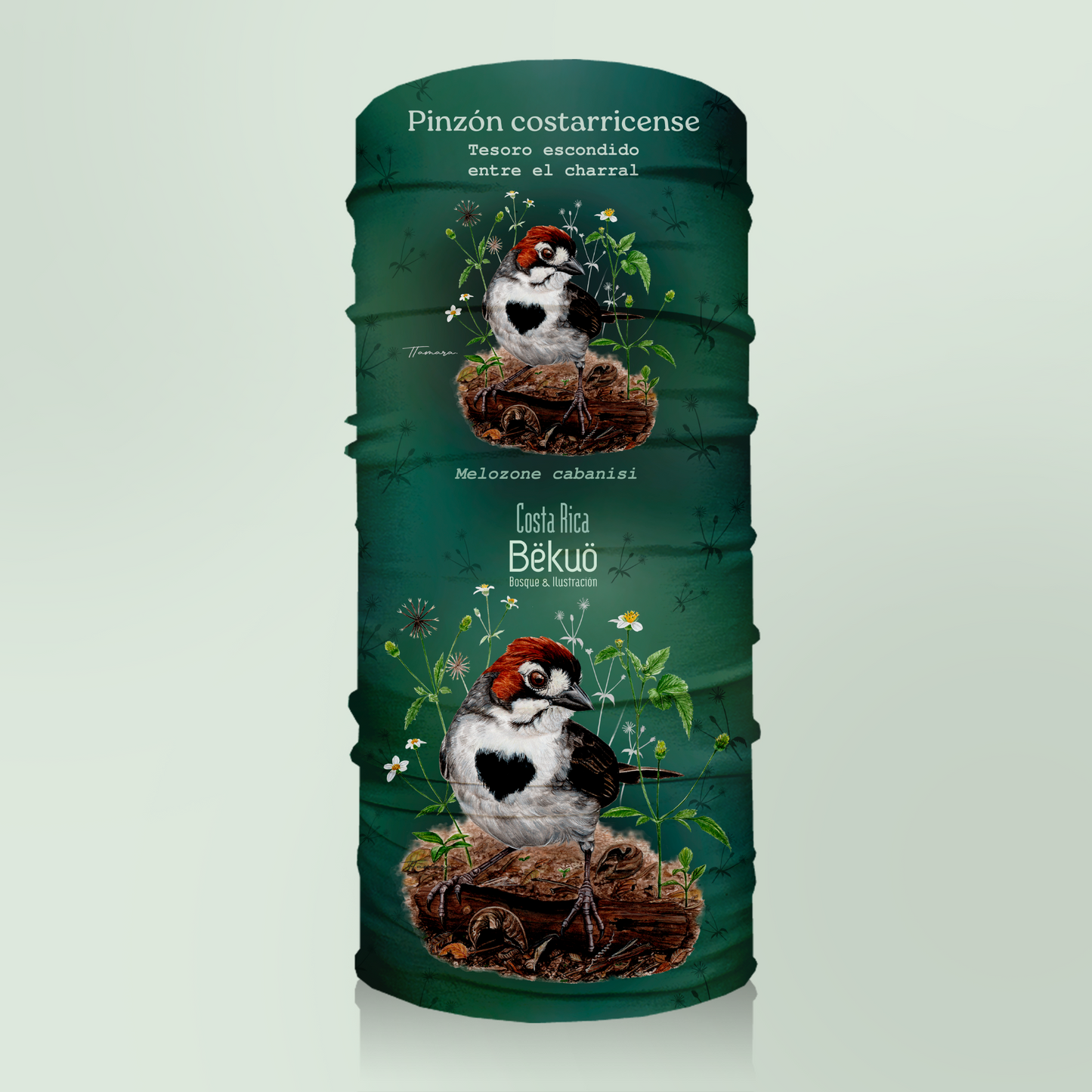 Bandana - Pinzón Costarricense verde