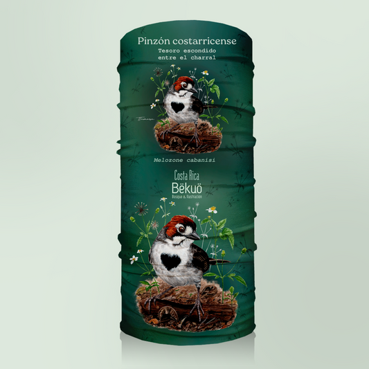 Bandana - Pinzón Costarricense verde