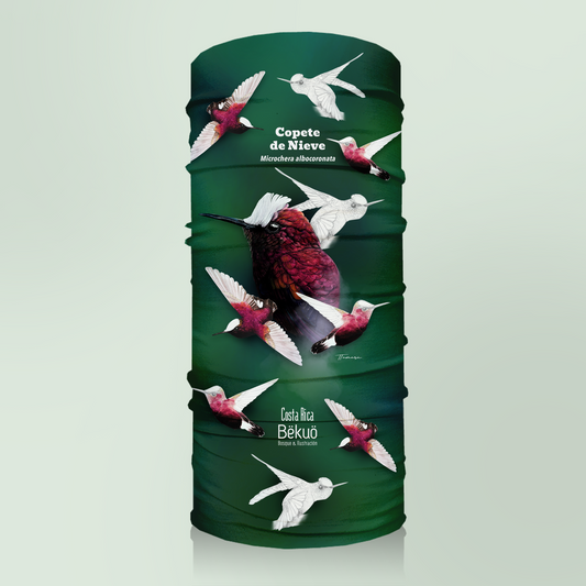 Bandana - Copete de Nieve tono oscuro