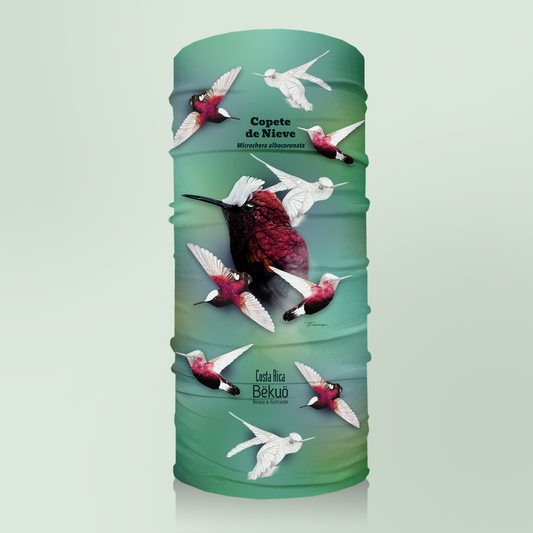 Bandana - Copete de Nieve tono claro