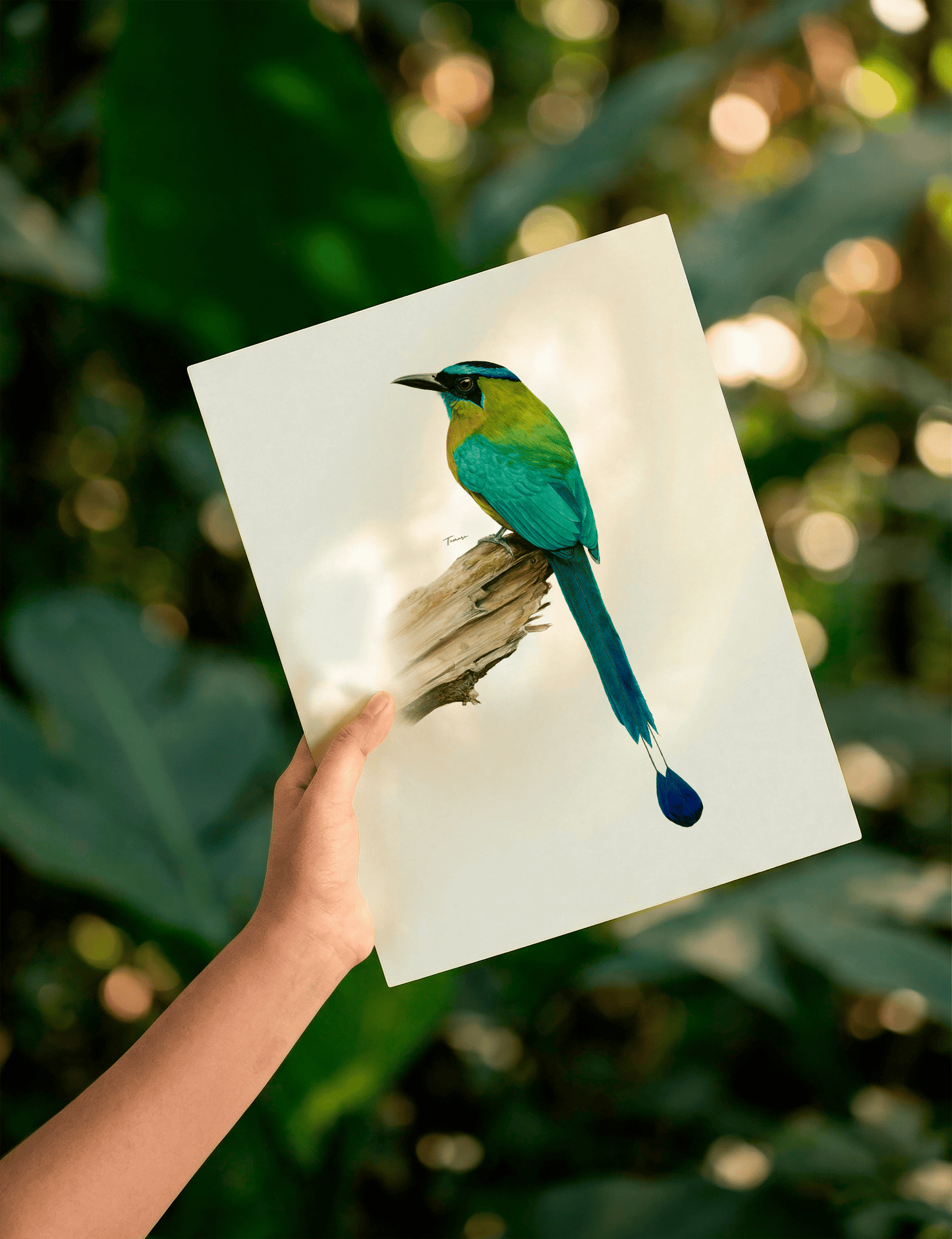 Print para enmarcar A4 - Ecos del Pájaro Bobo