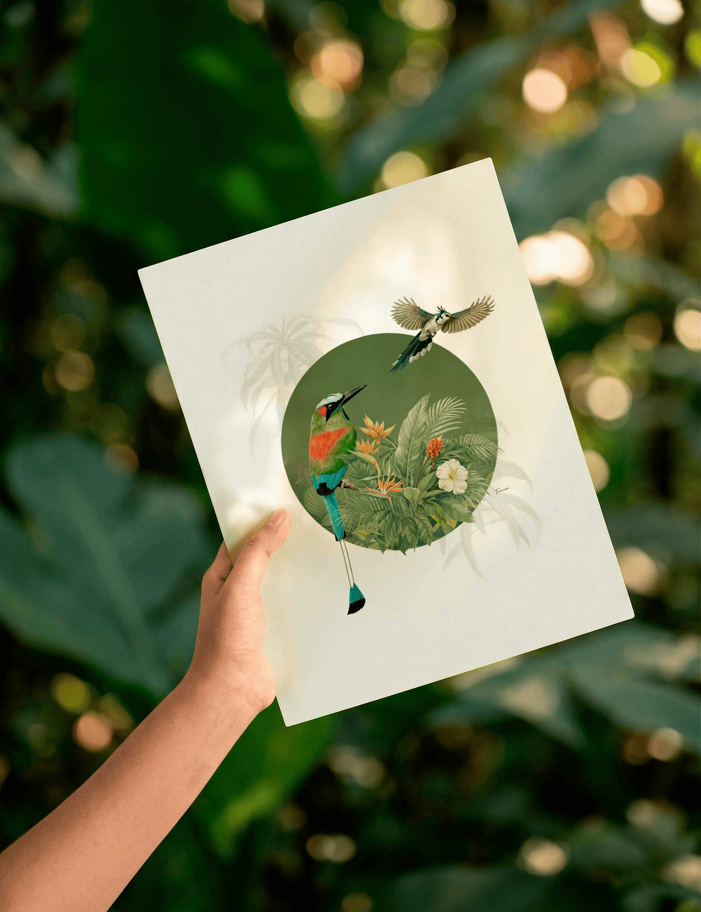 Print para enmarcar A4 - Guanacaste 2