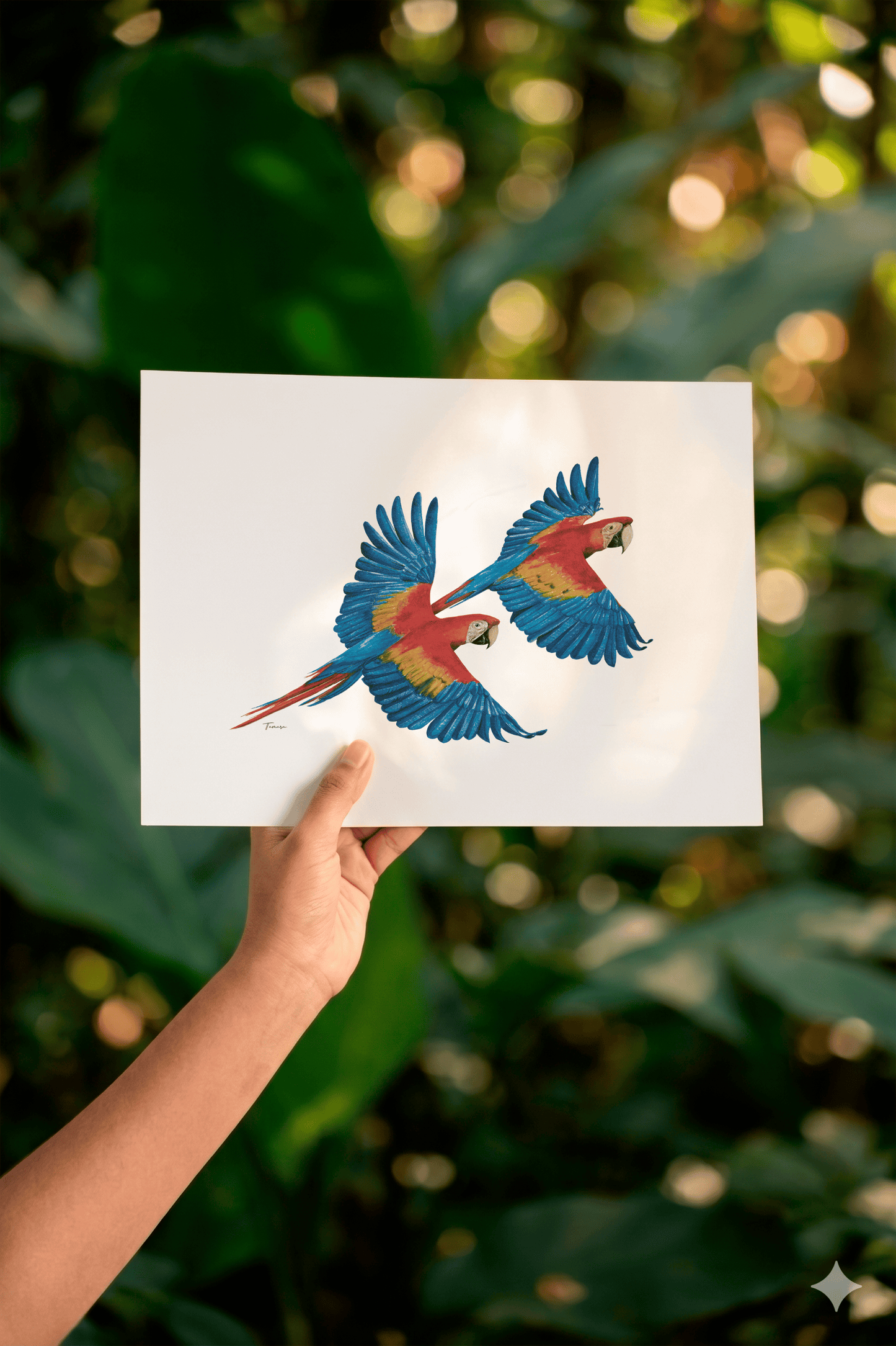 Print para enmarcar A4 - Lapas