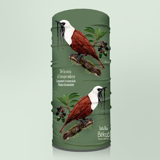 Bandana - De la Costa al Bosque Nuboso