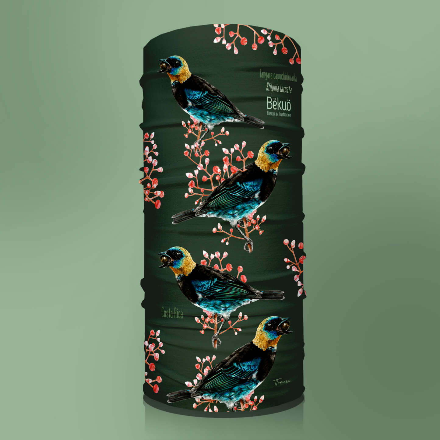 Bandana - Tangara Capuchidorada