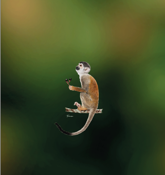 Blusa - En Peligro de Decir Adiós