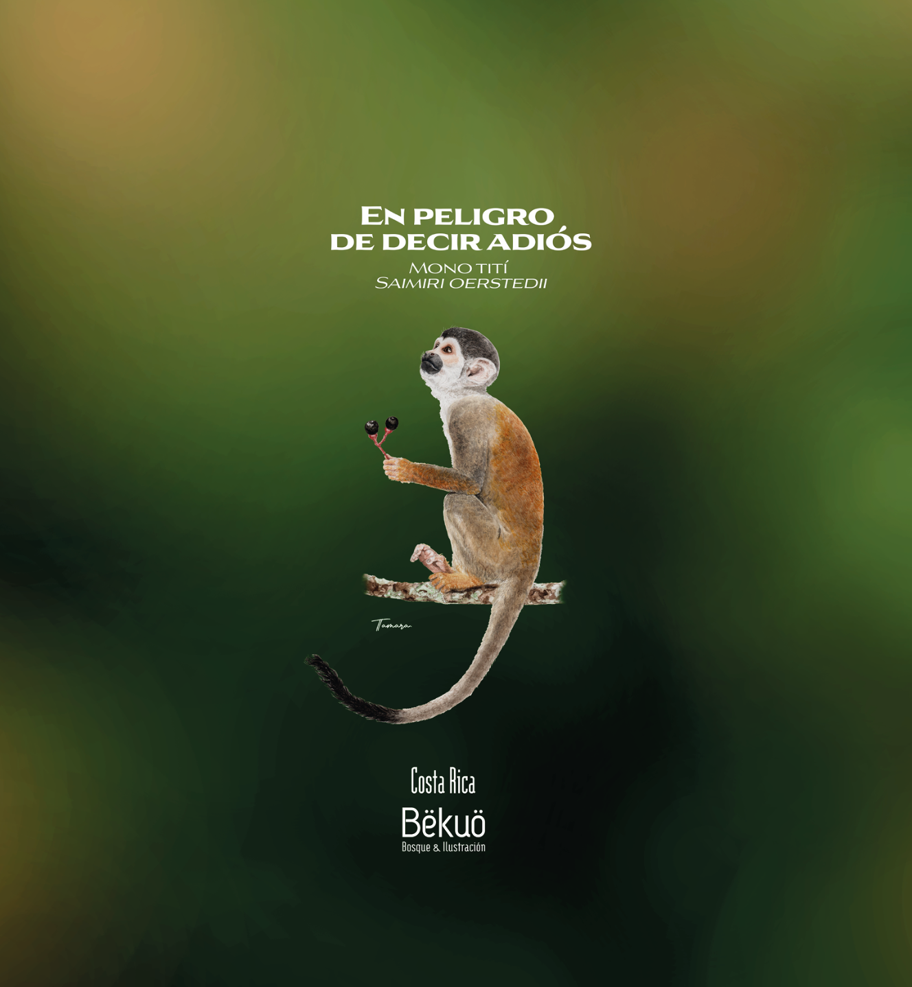 Blusa - En Peligro de Decir Adiós