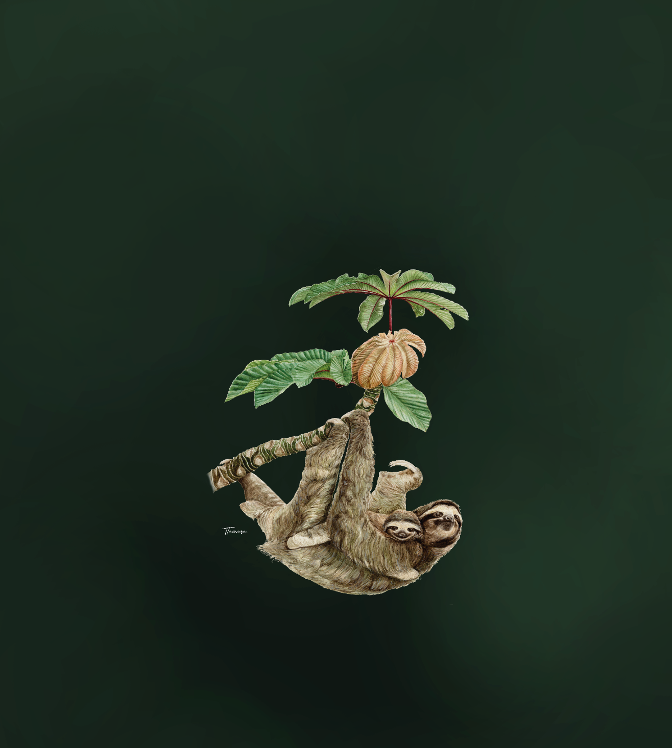 Blusa - Perezoso tono oscuro