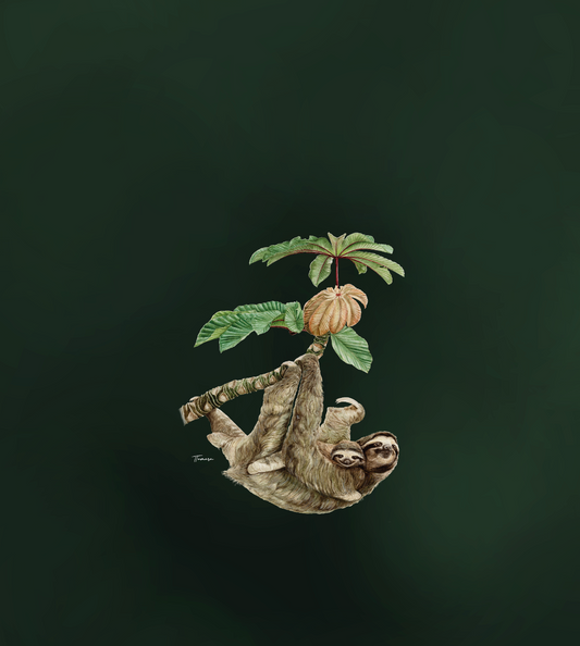 Blusa - Perezoso tono oscuro