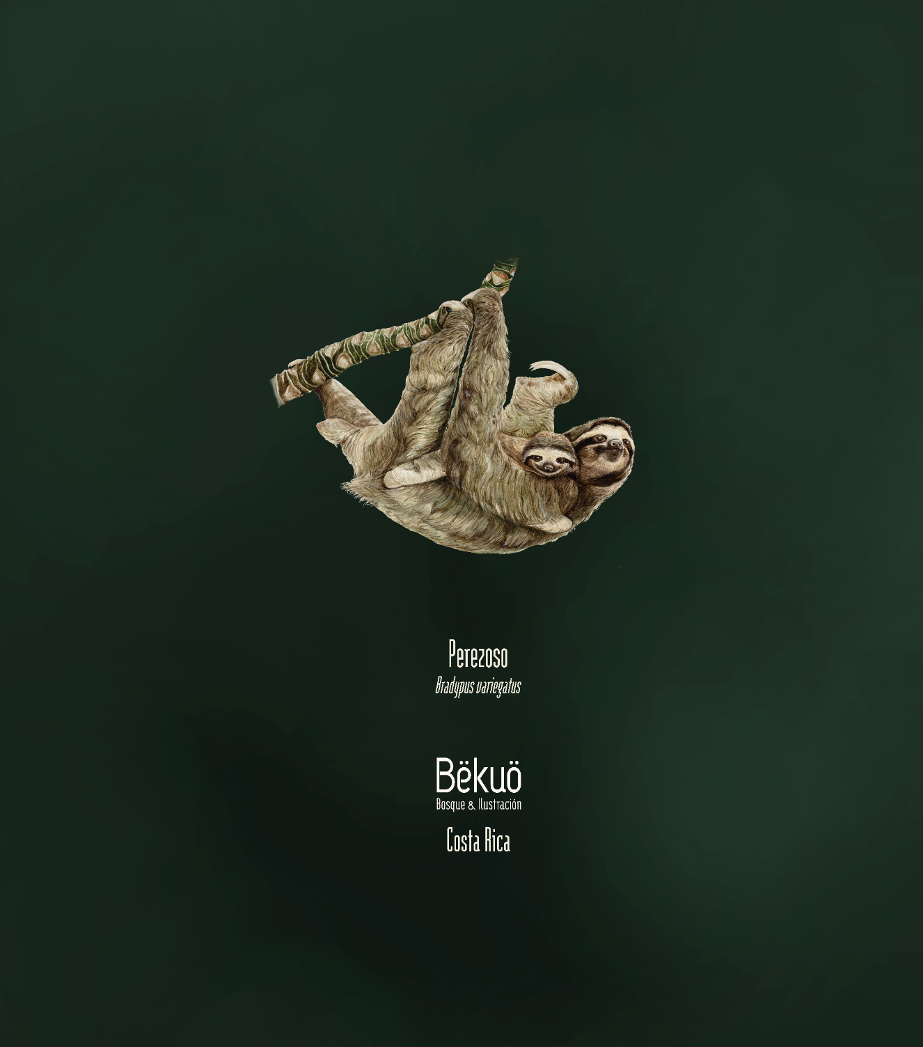 Blusa - Perezoso tono oscuro