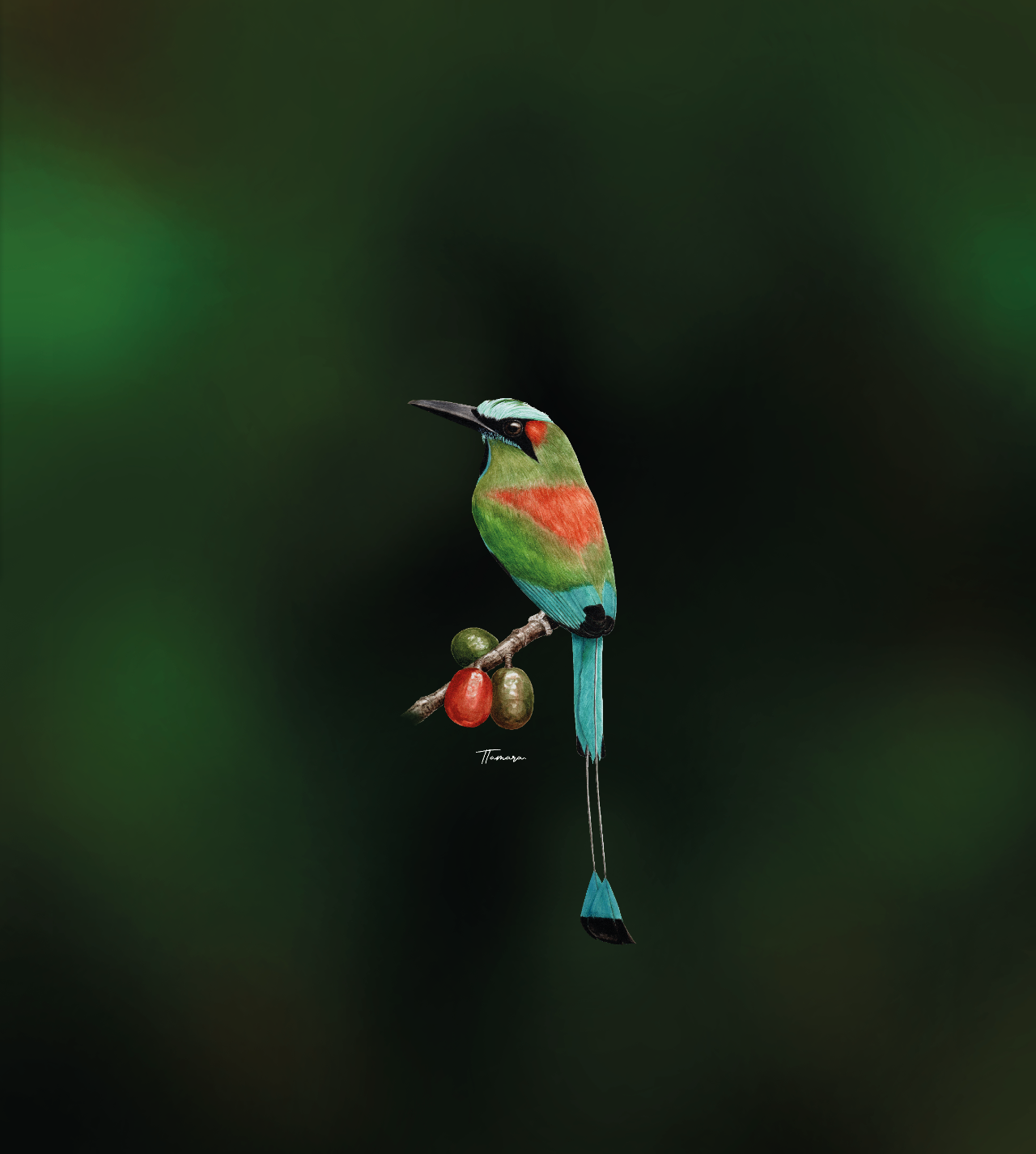 Camiseta - Cejiceleste