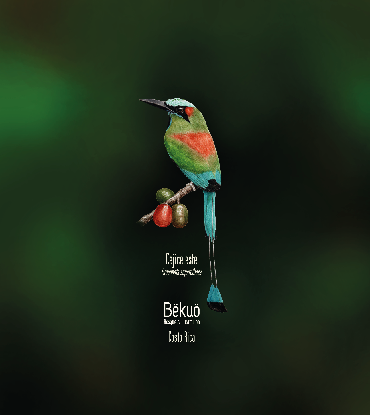 Camiseta - Cejiceleste