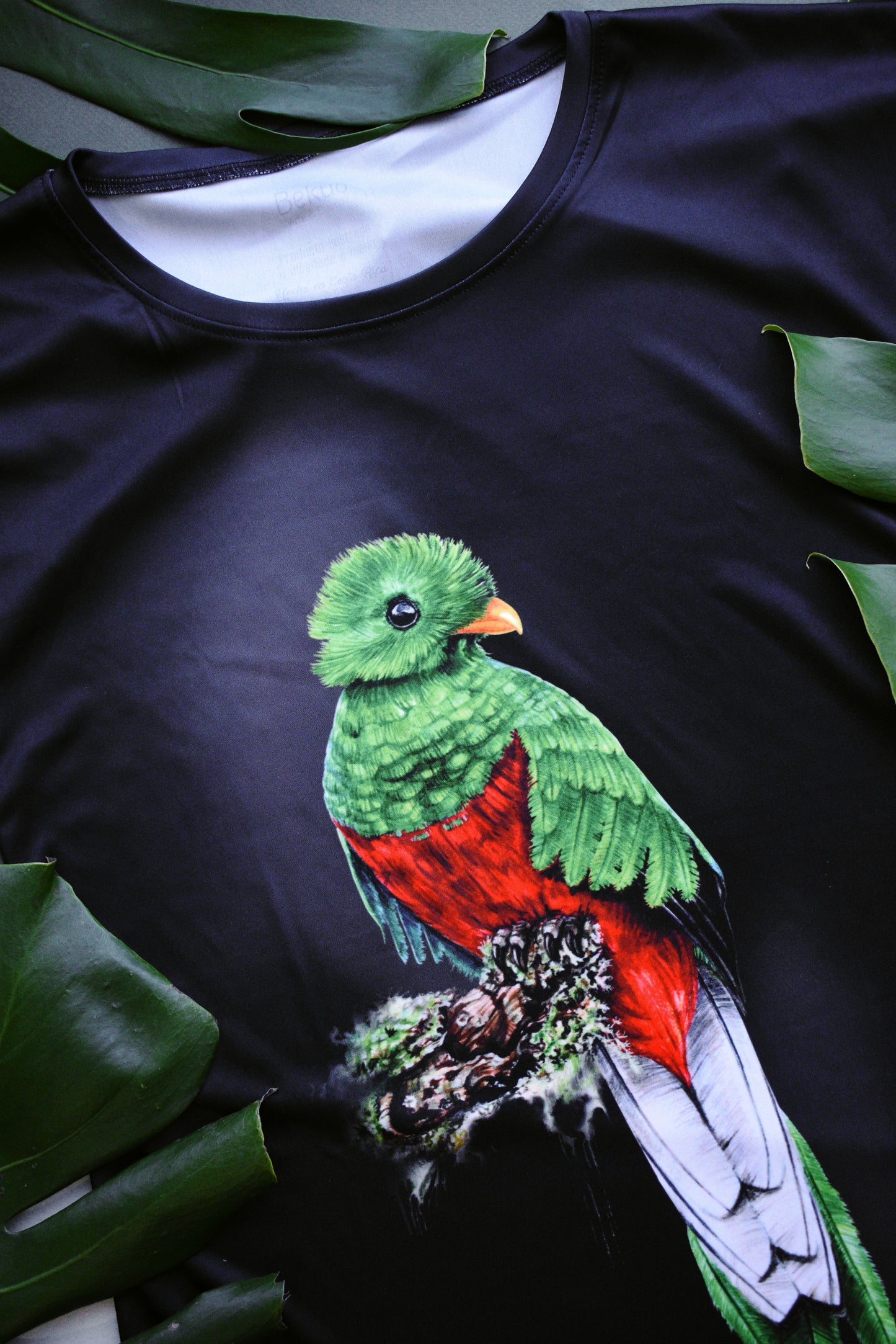Blusa - Quetzal