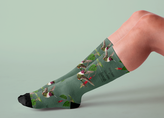 Medias - Colibrí Estrellita Gorgimorada