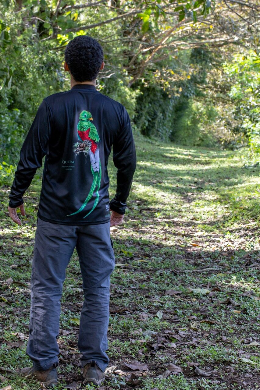Camiseta - Quetzal
