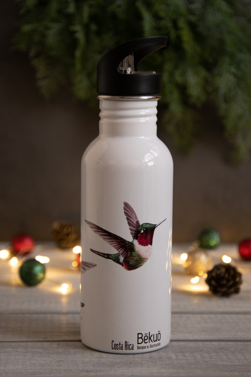 Botella - Colibrí Estrellita Gorgimorada