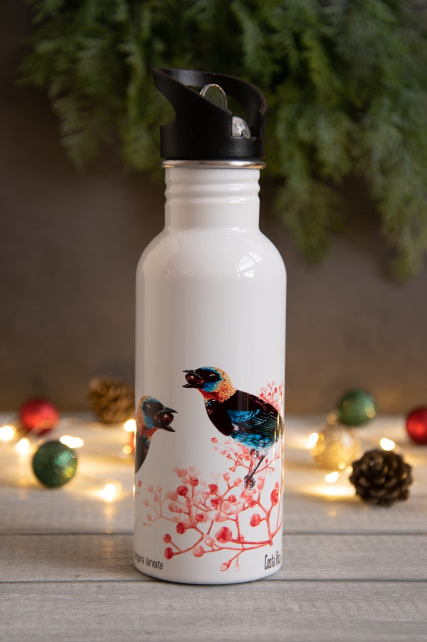 Botella - Tangara Capuchidorada