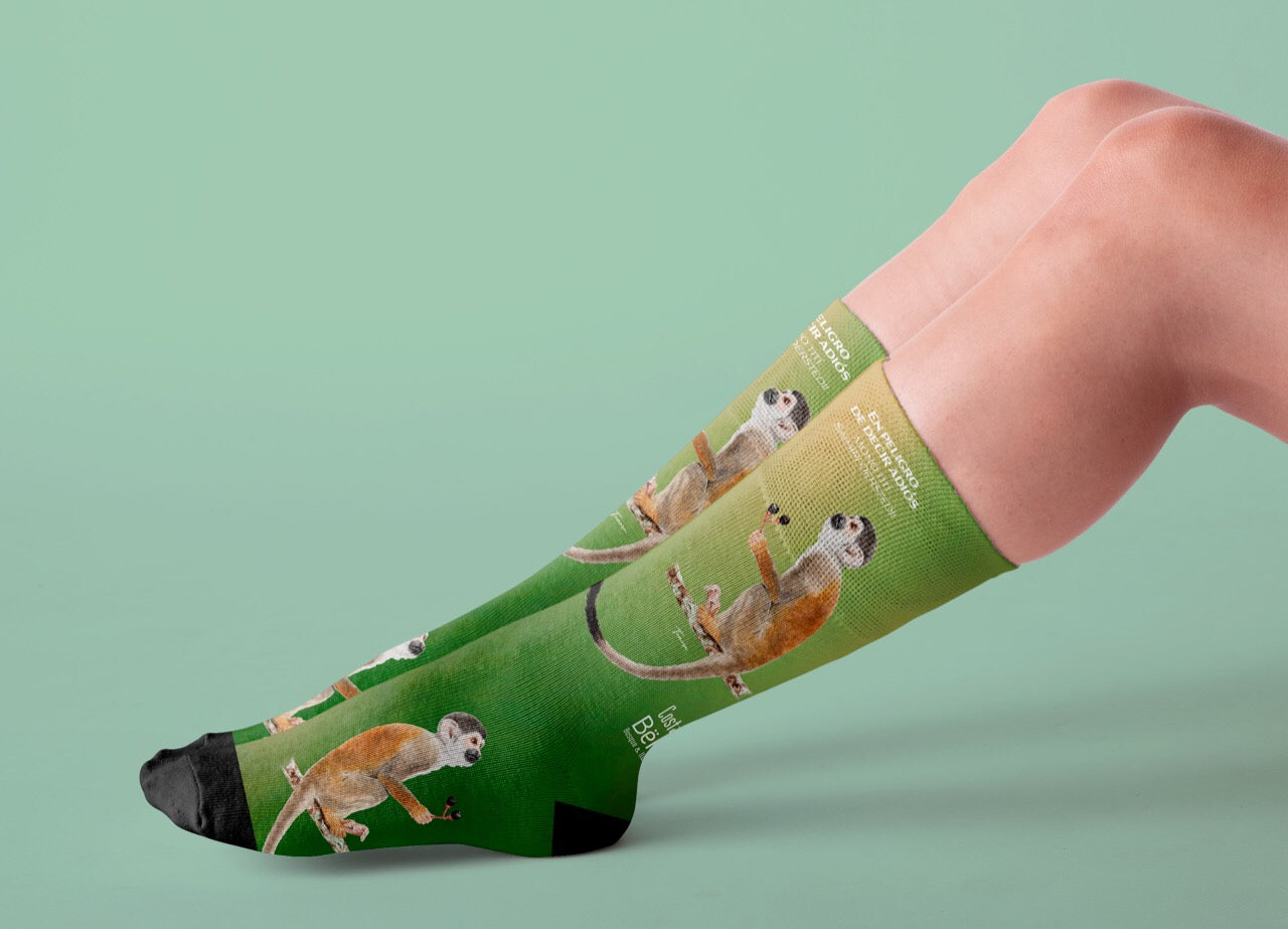 Medias - En Peligro de Decir Adiós