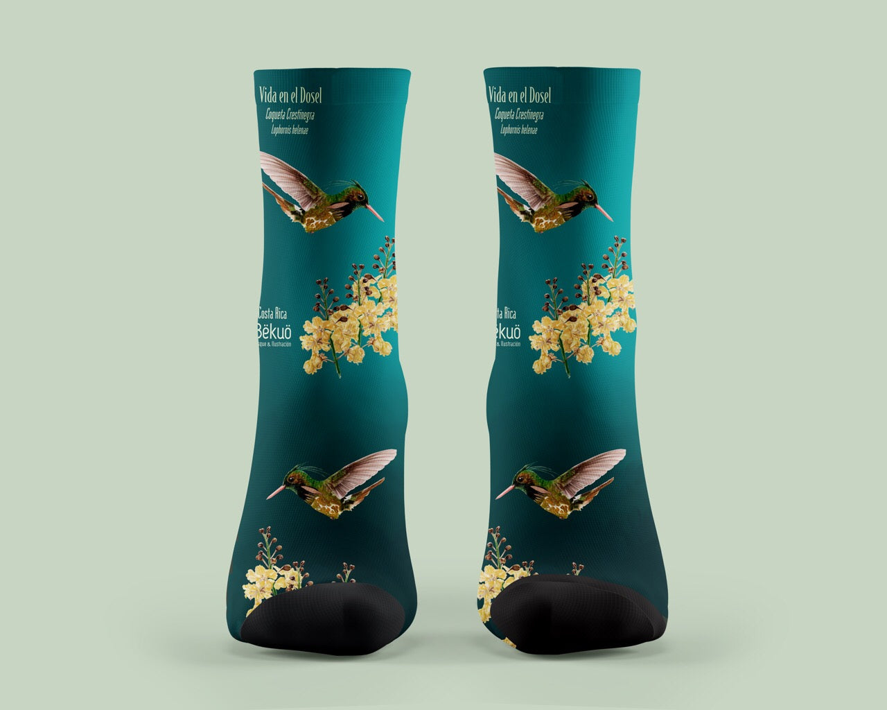 Medias - Vida en el Dosel