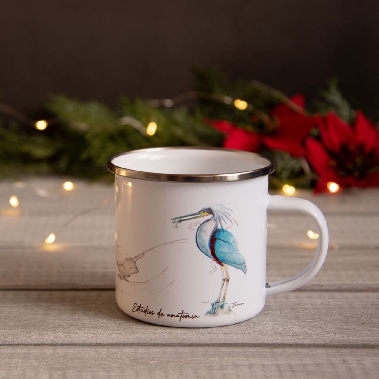 Jarrito de Metal  de Estudios anatomicos