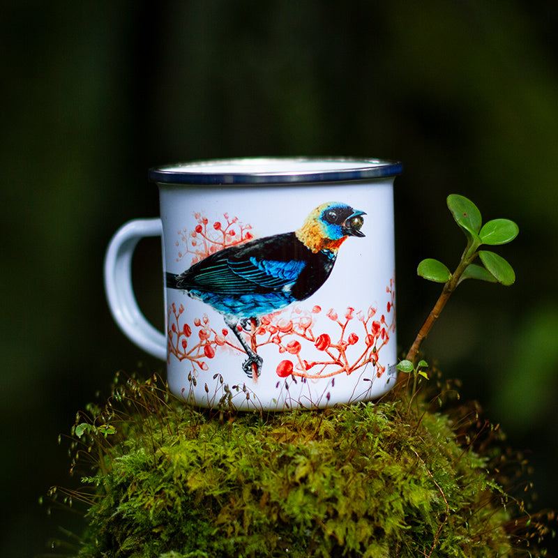 Jarrito de Metal - Tangara Capuchidorada