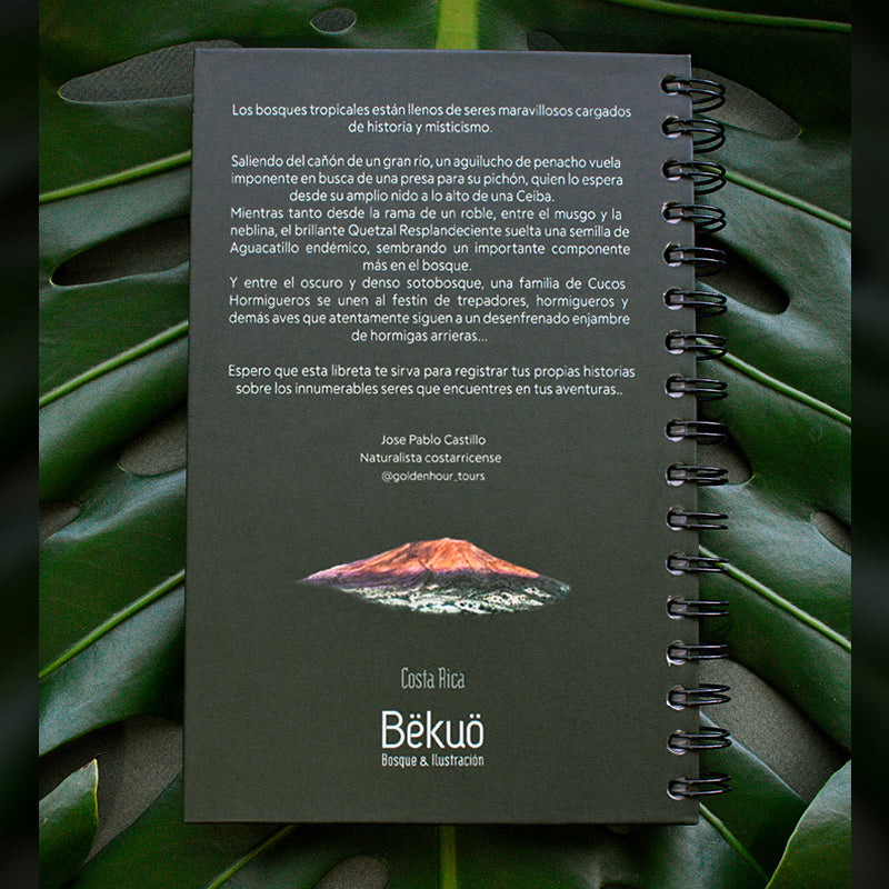 Libreta - Relatos del Bosque
