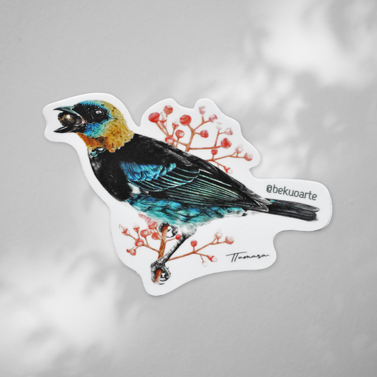 Sticker contra agua - Tangara Capuchidorada