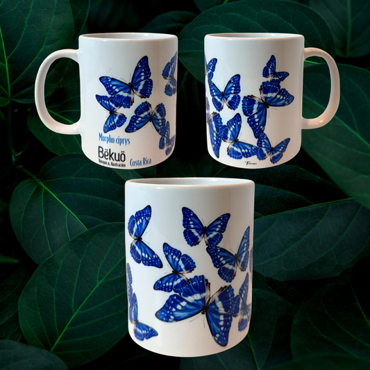 Jarra de Cerámica - Morpho