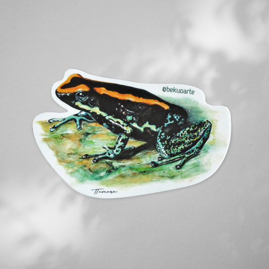 Sticker contra agua - Rana Endémica del Golfo Dulce