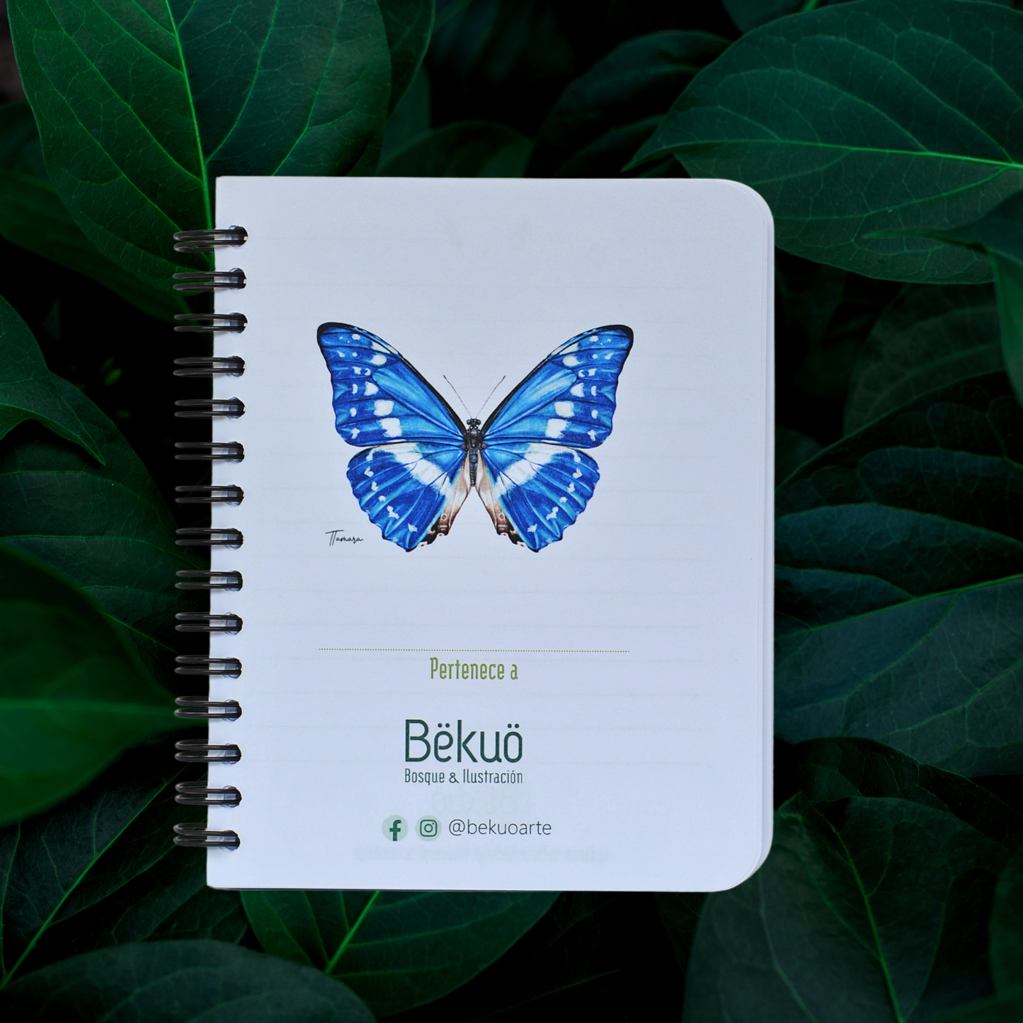 Libreta pequeña - Morpho