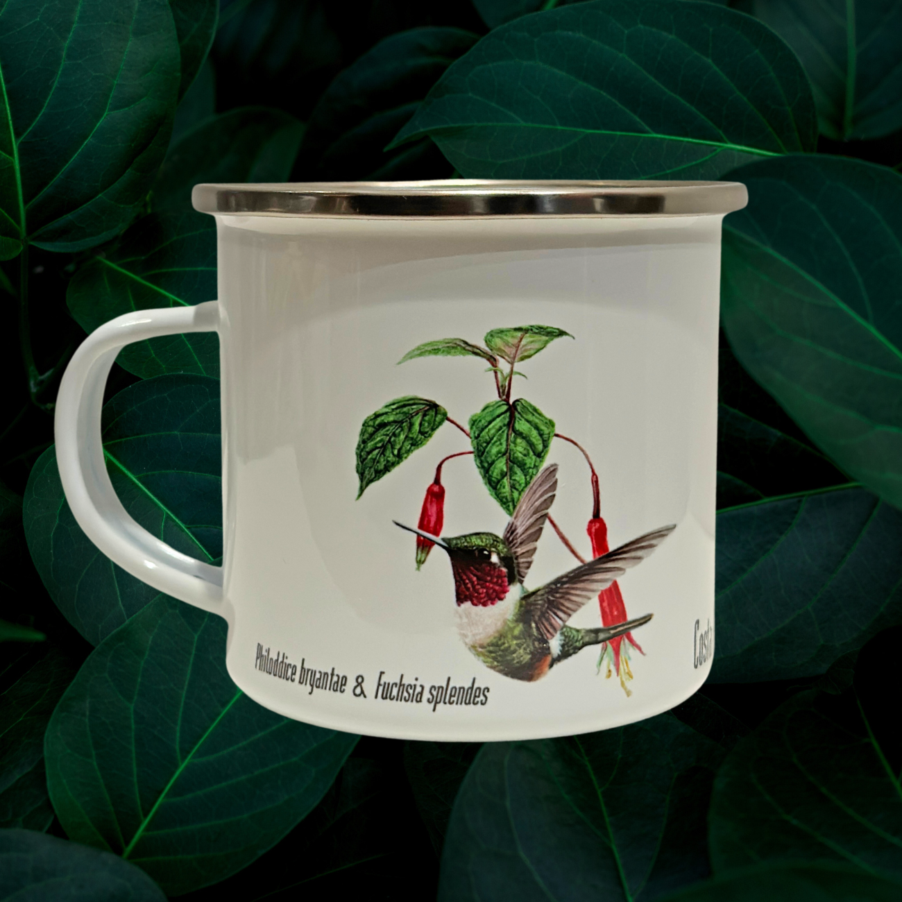 Jarrito de metal - Colibrí Estrellita Gorgimorada