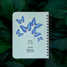 Cargar imagen en el visor de la galería, Libreta pequeña Mariposa Morpho cypris
