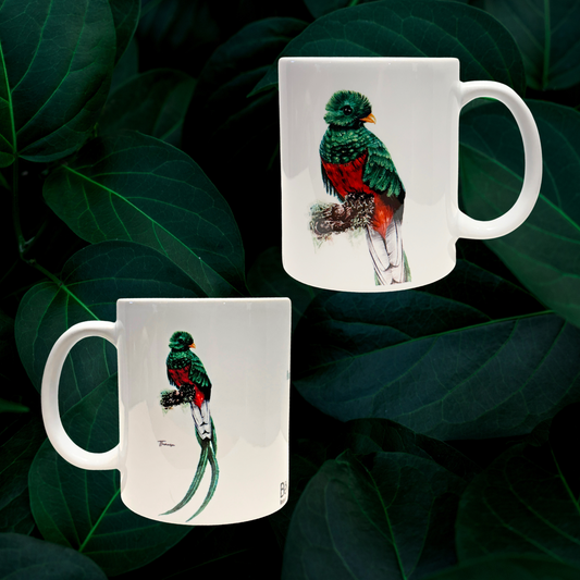 Jarra de Cerámica - Quetzal