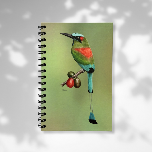 Libreta - Cejiceleste