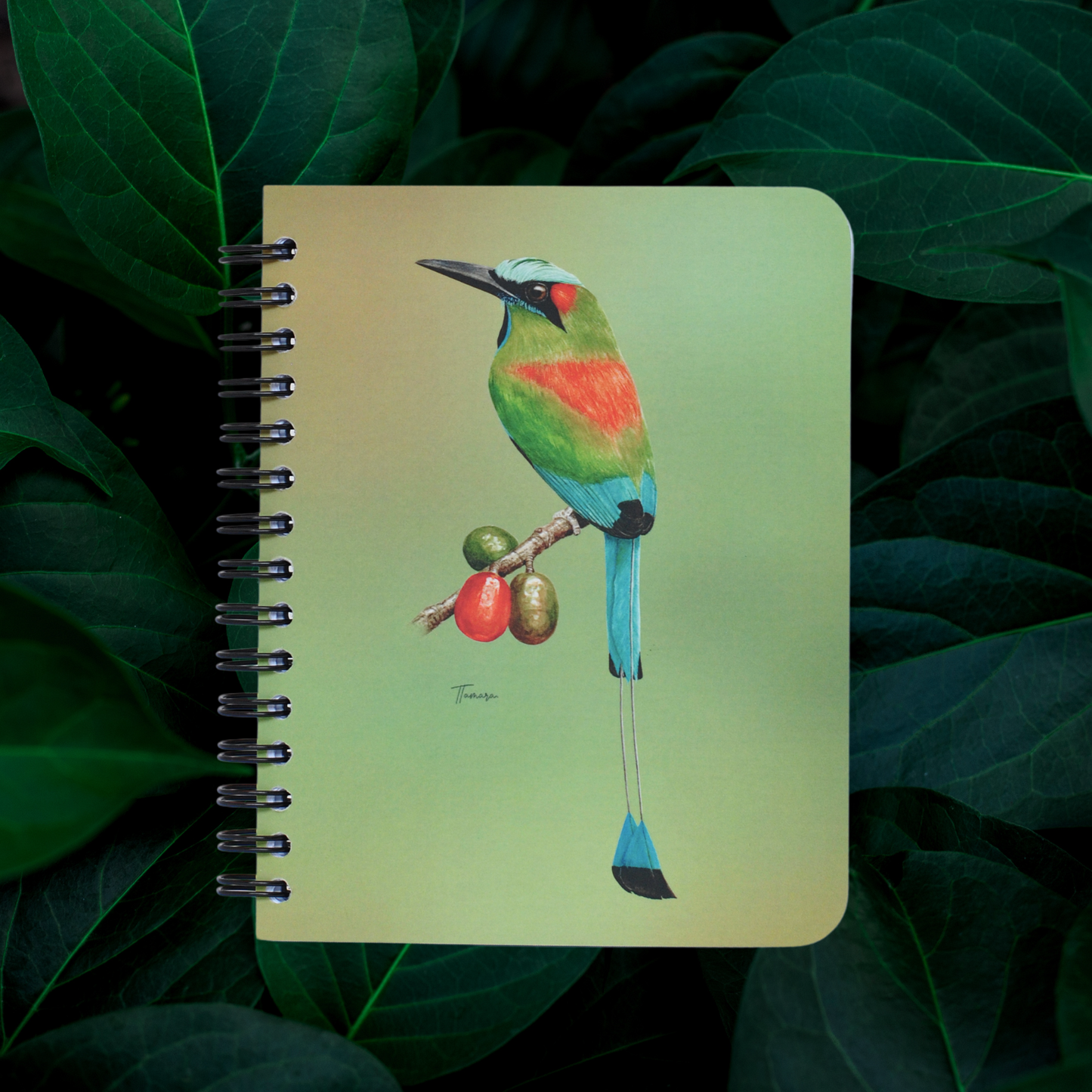 Libreta Pequeña -  Cejiceleste