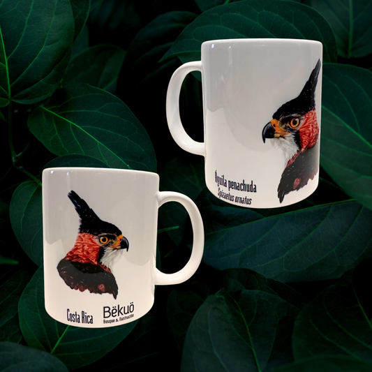 Jarra de Cerámica - Águila Penachuda