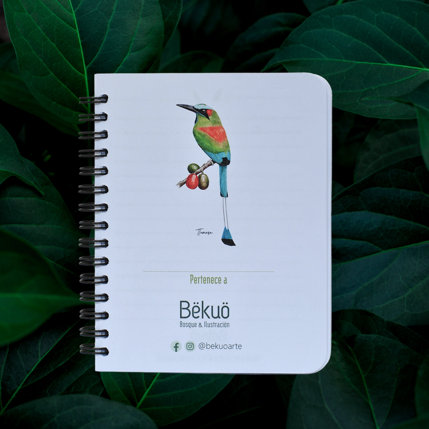 Libreta Pequeña -  Cejiceleste