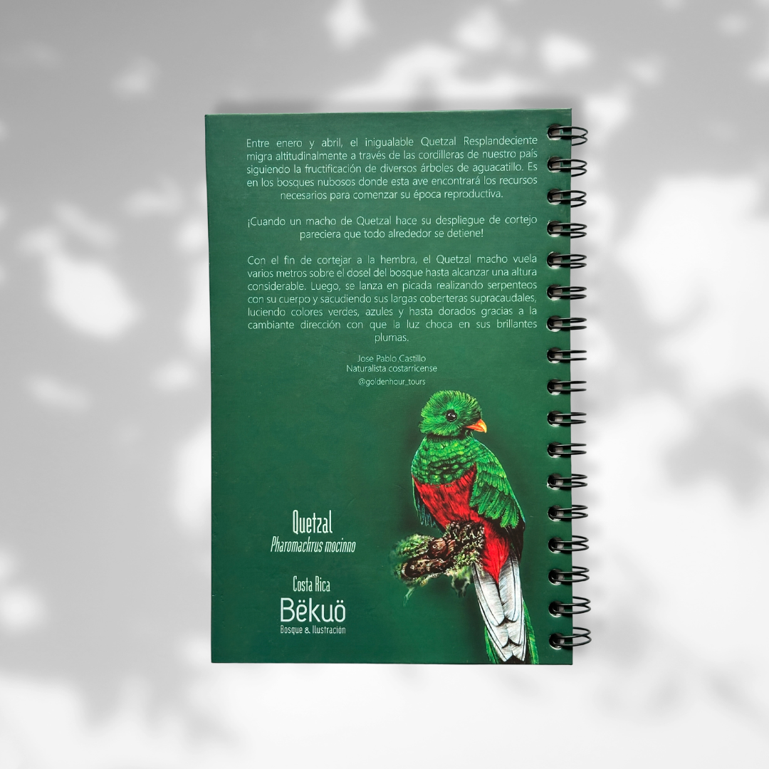 Libreta - Quetzal