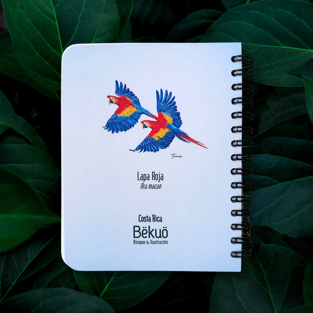 Libreta pequeña - Lapa Roja