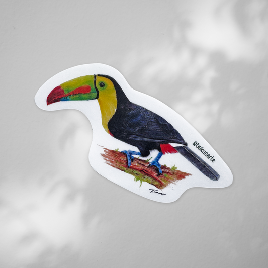 Sticker contra agua - Tucán pico iris