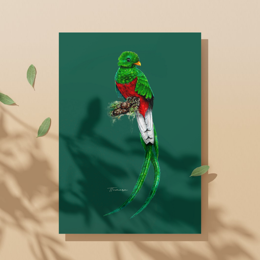 Tarjeta de regalo - Quetzal