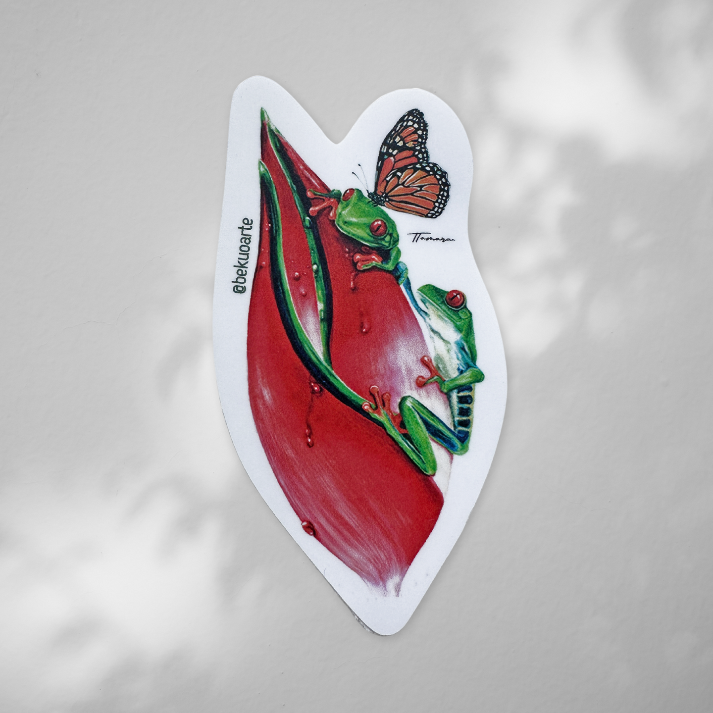 Sticker contra agua Rana Ojos Rojos