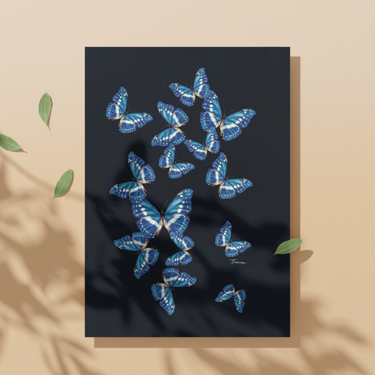 Tarjeta de regalo - Morpho
