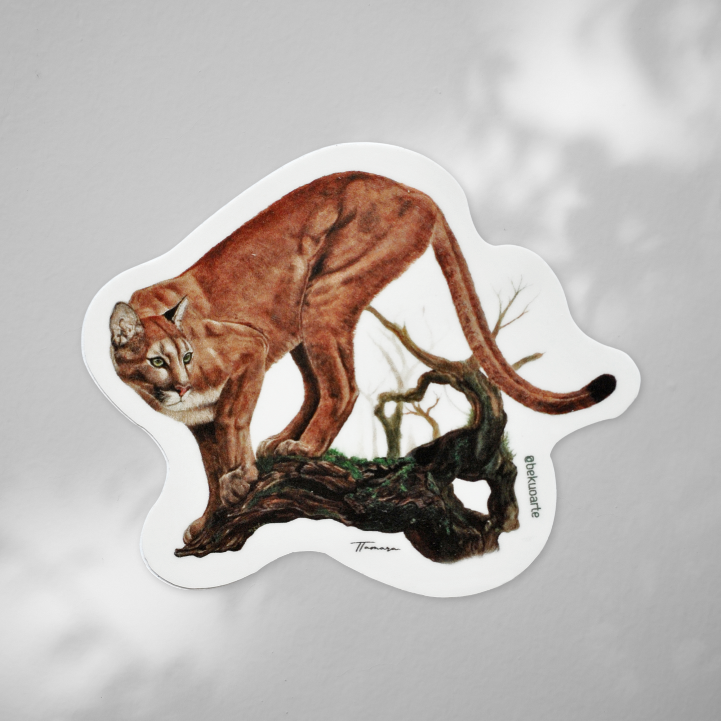 Sticker contra agua Puma concolor