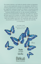 Cargar imagen en el visor de la galería, Libreta de Mariposa Morpho cypris Clara
